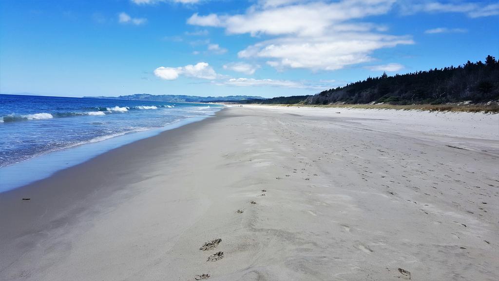 Close To Beach Διαμέρισμα Όκλαντ Εξωτερικό φωτογραφία