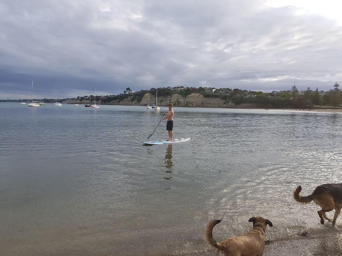 Close To Beach Διαμέρισμα Όκλαντ Εξωτερικό φωτογραφία