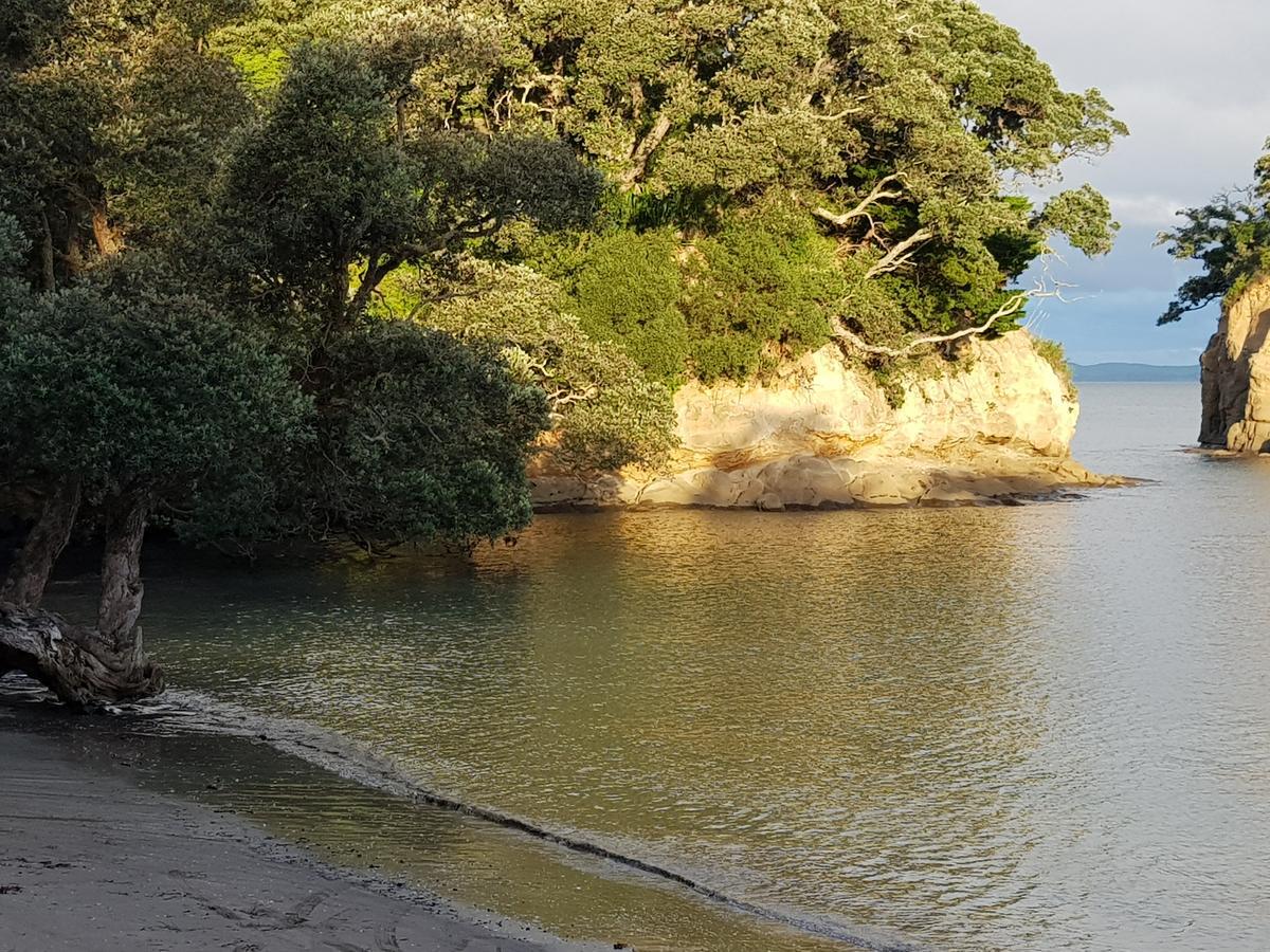 Close To Beach Διαμέρισμα Όκλαντ Εξωτερικό φωτογραφία